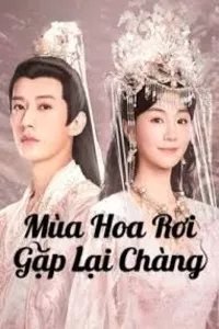 Mùa Hoa Rơi Gặp Lại Chàng