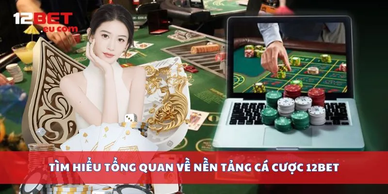 Bức tranh mượt từ chi tiết nhỏ:trải nghiệm và lộ trình thực hành tại 12bet 2 Tổng quan hệ sinh thái và tiêu chuẩn vận hành