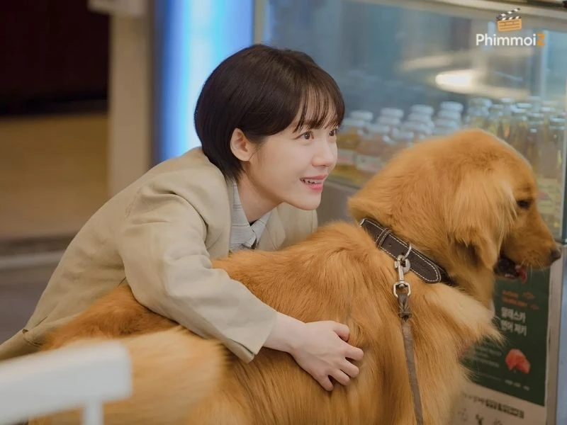 luật sư công ích vietsub