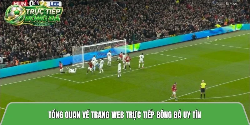 Tructiepbongda