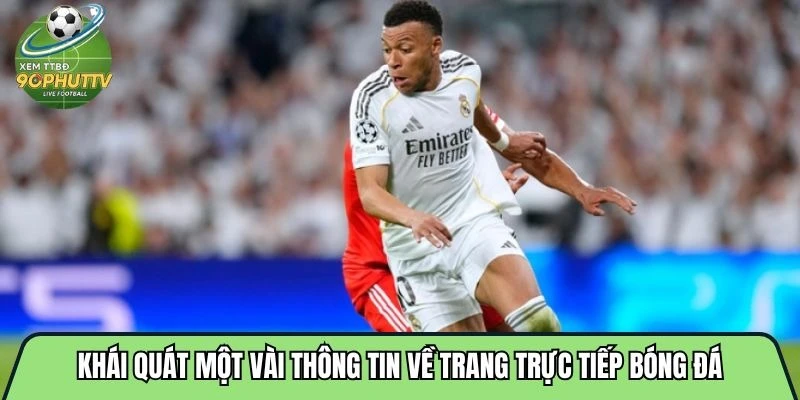 Khái quát một vài thông tin về trang trực tiếp bóng đá