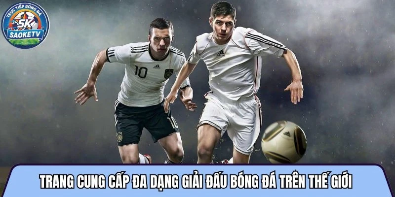 Trang cung cấp đa dạng giải đấu bóng đá trên thế giới 