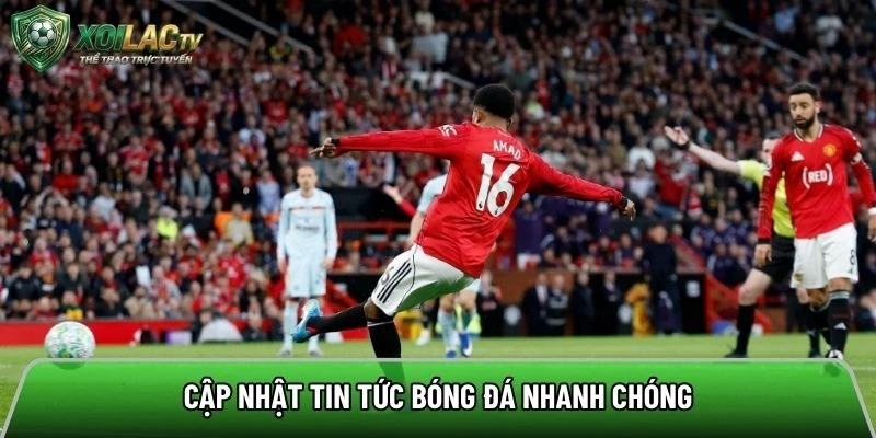 Cập nhật tin tức bóng đá nhanh chóng