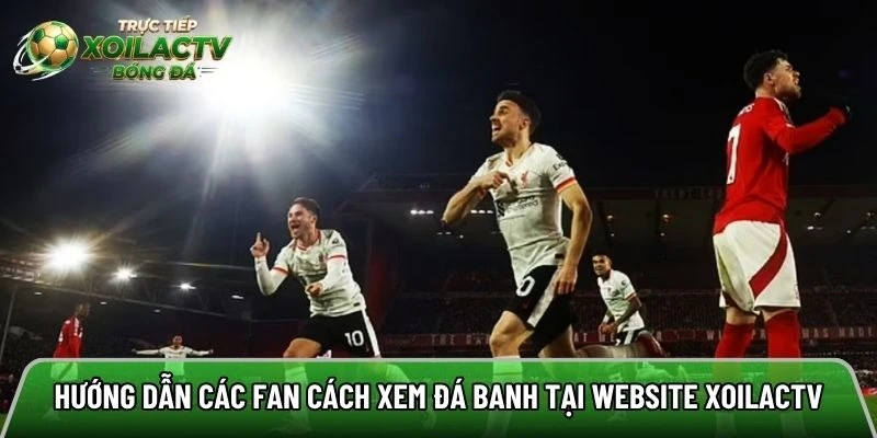 Hướng dẫn các fan cách xem đá banh tại website Xoilactv